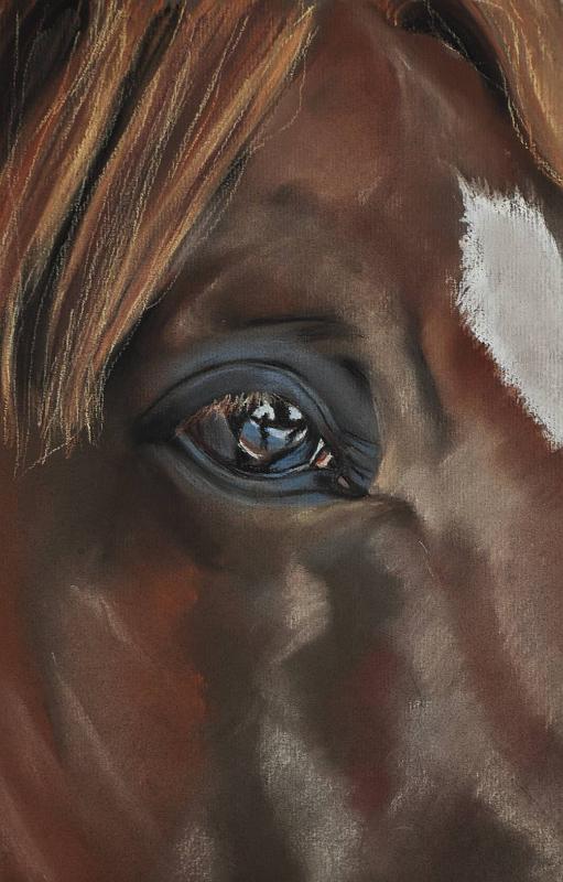 cheval-criniere-rousse.jpg - Pastel   format /size 30x40