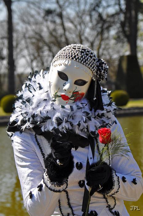 DSC_6939nicoleta.JPG