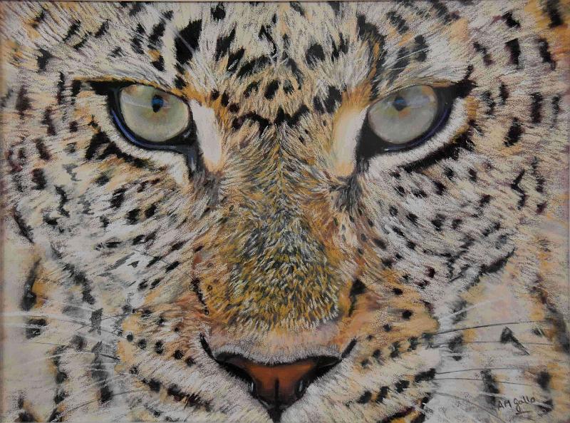 Leopard.JPG - Pastel format /size 30 x 40