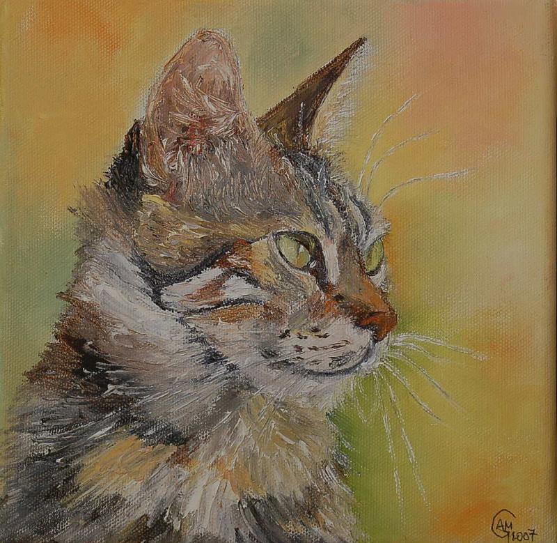 chat1.jpg - Painting oil on canvas -Huile sur toile format /size  20x20
