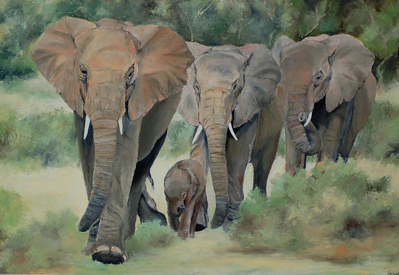 famille-d'elephants2.jpg - Painting oil on paper -Huile sur papier format /size 40x60