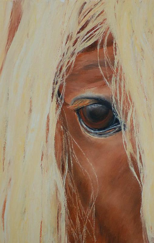 tete-cheval1.jpg - Painting oil on paper -Huile sur papier format /size 30x50