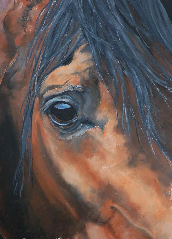 tete-cheval2.jpg - Painting oil on paper -Huile sur papier format /size  40x50