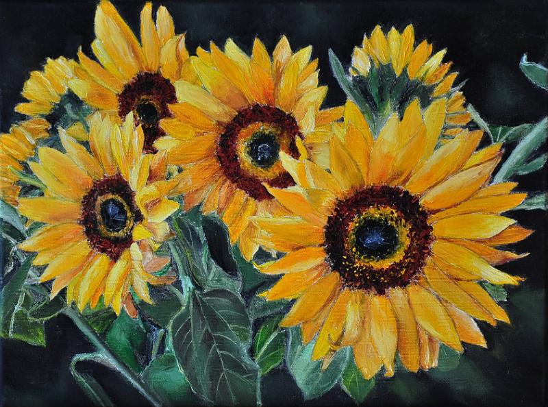 Tournesol1.JPG - Painting oil on canvas -Huile sur toile format /size  30x40