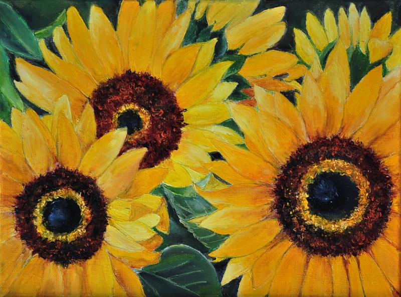 Tournesol2.JPG - Painting oil on canvas -Huile sur toile format /size  30x40