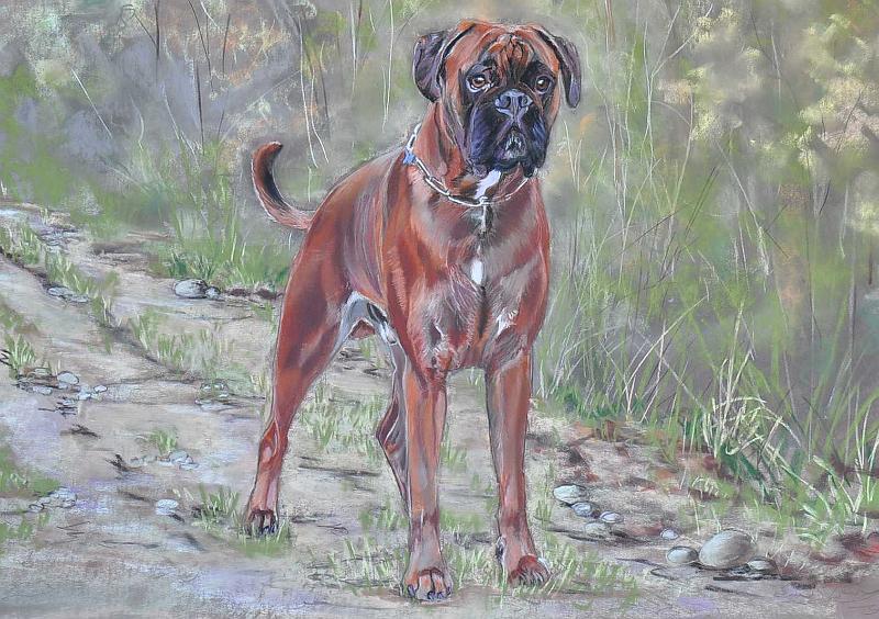 Gringo12.jpg - Pastel format /size 50 x 70