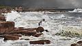 tempete5
