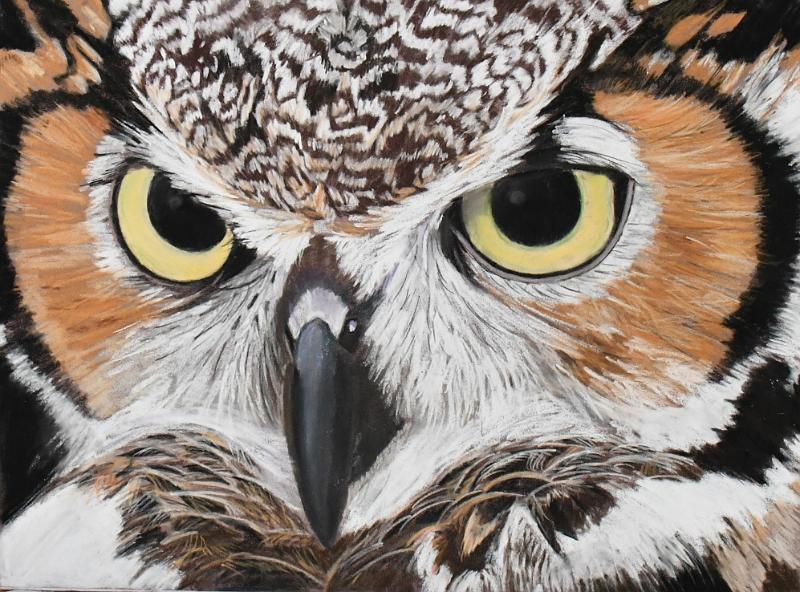 chouette4.jpg - Pastel