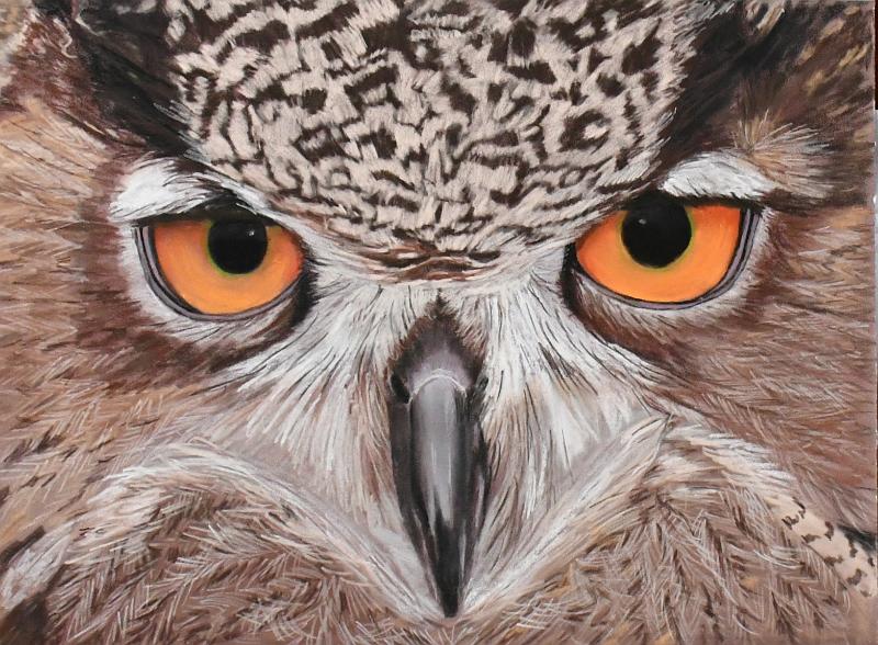 chouette5.jpg - Pastel