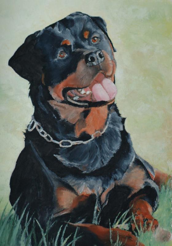 rotweiller.jpg - Painting oil on paper -Huile sur papier format /size 40x60